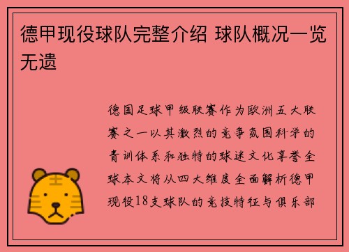 德甲现役球队完整介绍 球队概况一览无遗